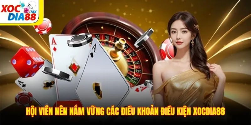 Hội viên nên nắm vững các điều khoản điều kiện Xocdia88