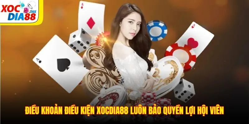 Điều khoản điều kiện Xocdia88 luôn bảo quyền lợi hội viên