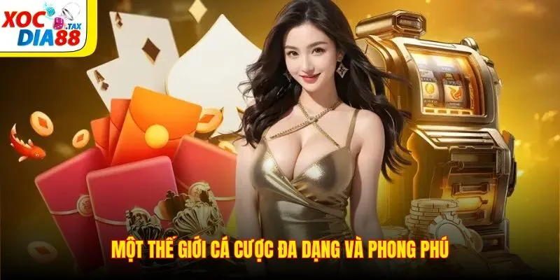 TRANG CHỦ 24 Một thế giới cá cược đa dạng và phong phú