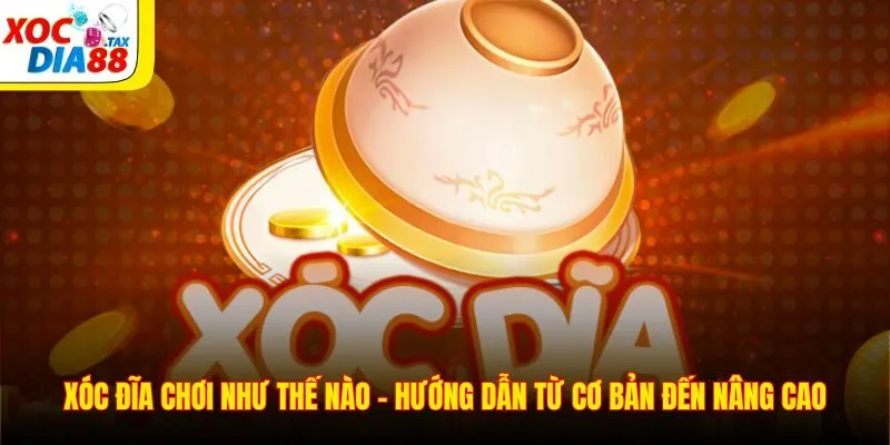 Xóc Đĩa Chơi Như Thế Nào - Hướng Dẫn Từ Cơ Bản Đến Nâng Cao